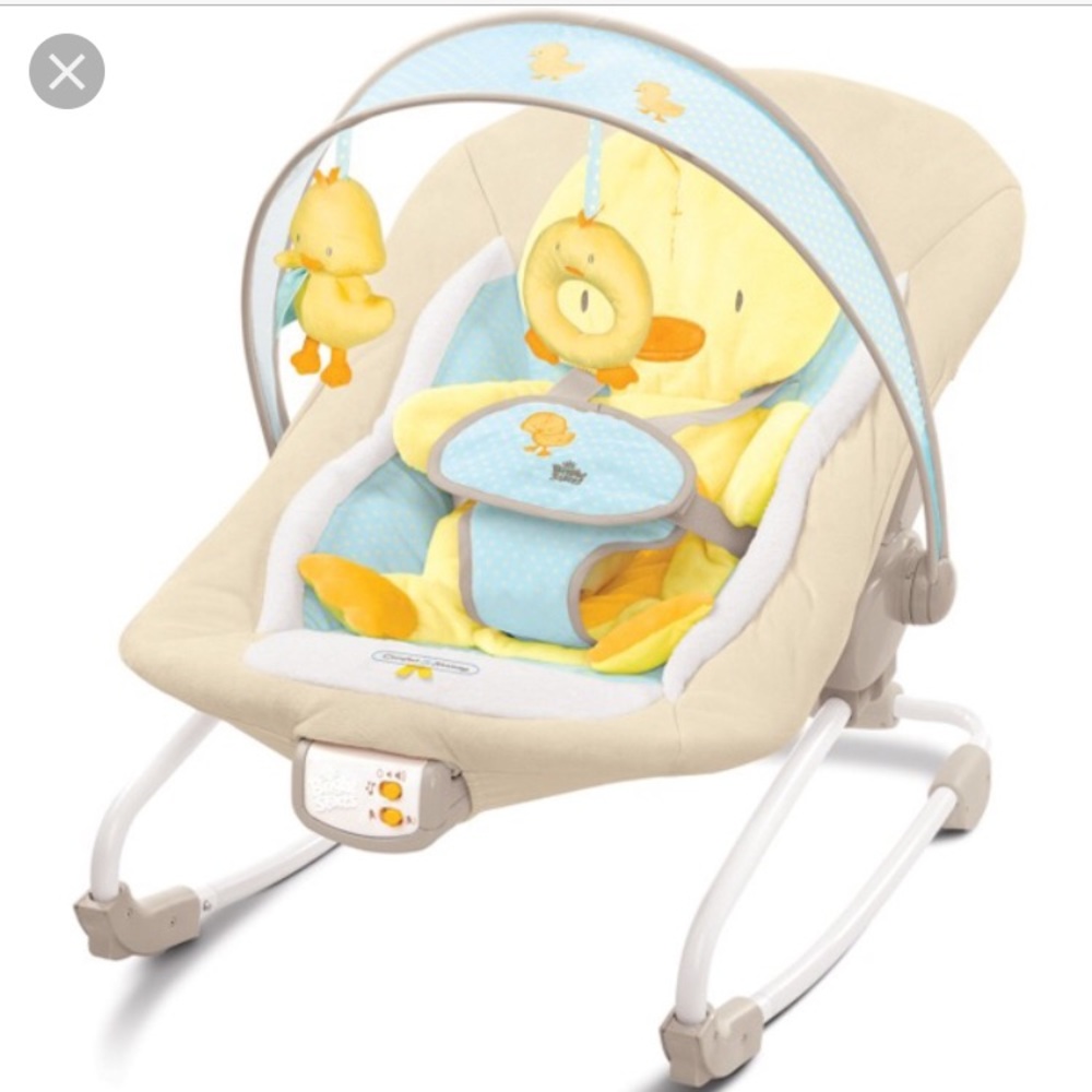 Looking for this bouncer.